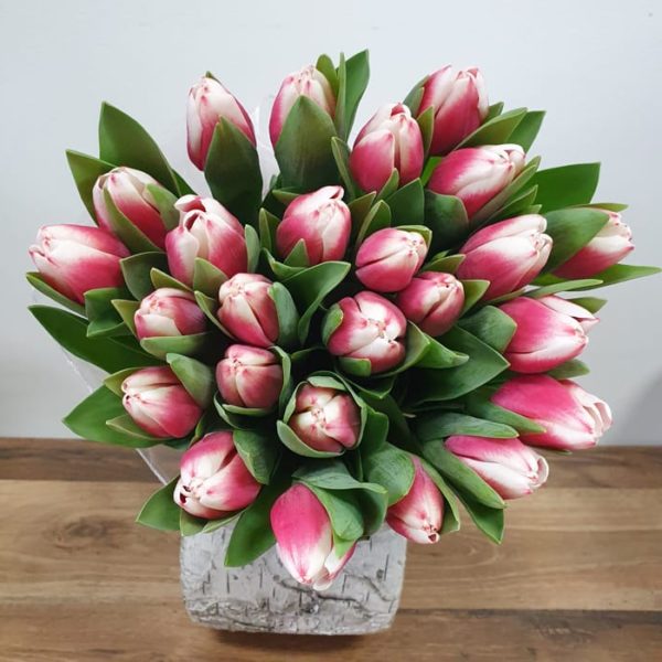 Bukiet - Tulipan