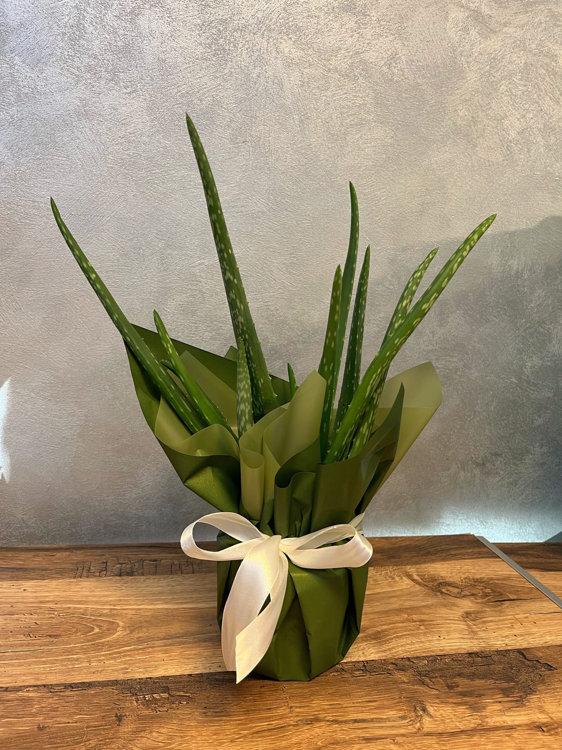 Aloes w papierze dekoracyjnym - obrazek 2