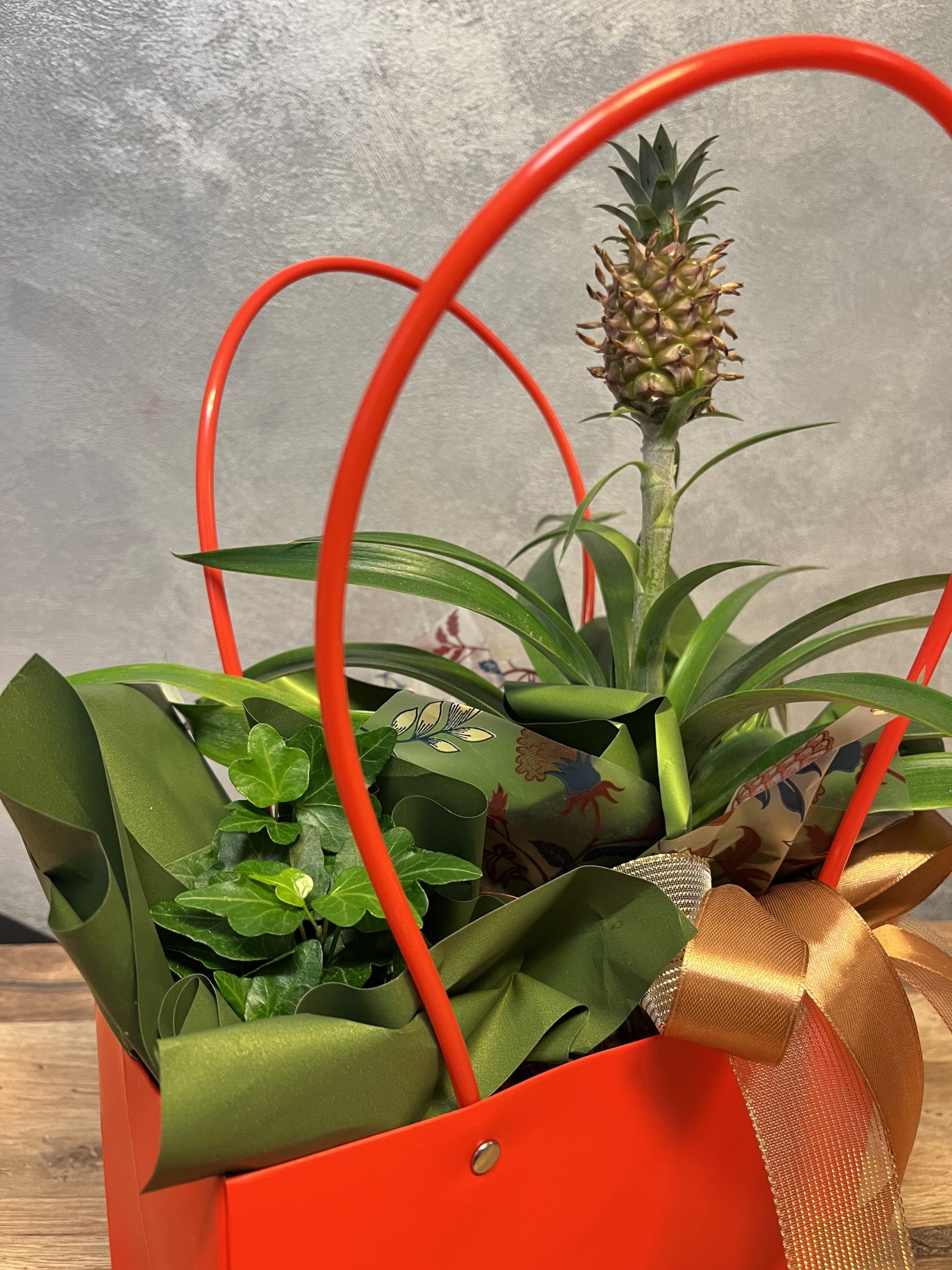Ananas ozdobny z bluszczem – zestaw roślin w oprawie prezentowej - obrazek 2