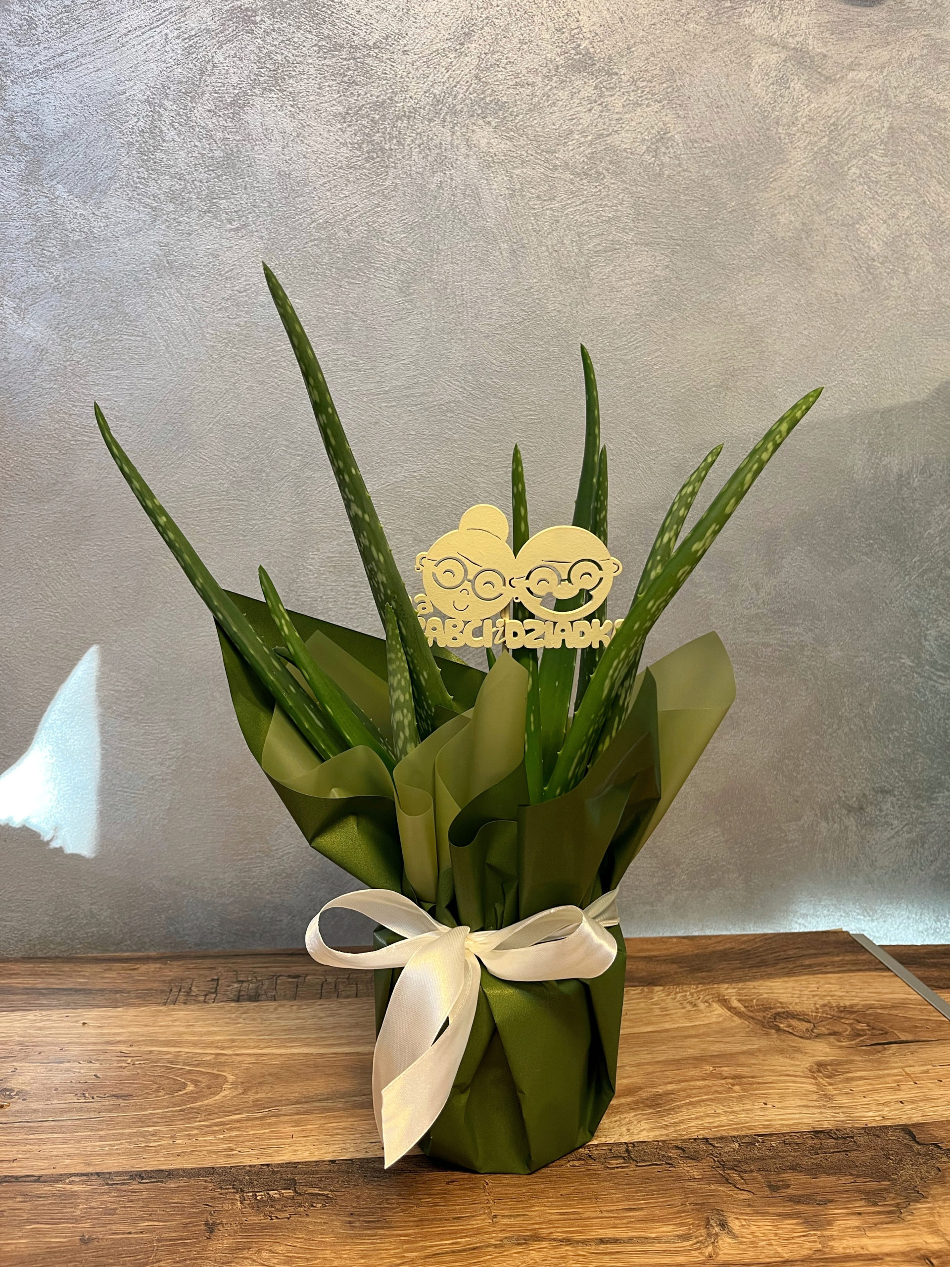 Aloes w papierze dekoracyjnym
